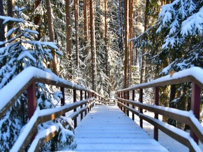 Visit Jēkabpils - Tūrisms Jēkabpils novadā