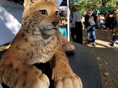 Visit Jēkabpils - Tūrisms Jēkabpils novadā