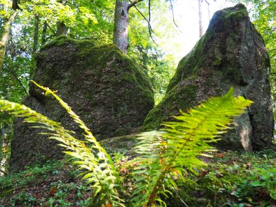 Visit Jēkabpils - Tūrisms Jēkabpils novadā
