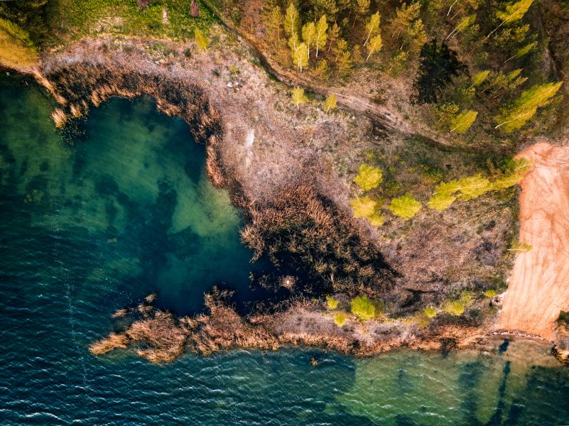 Jēkabpils Mežaparks