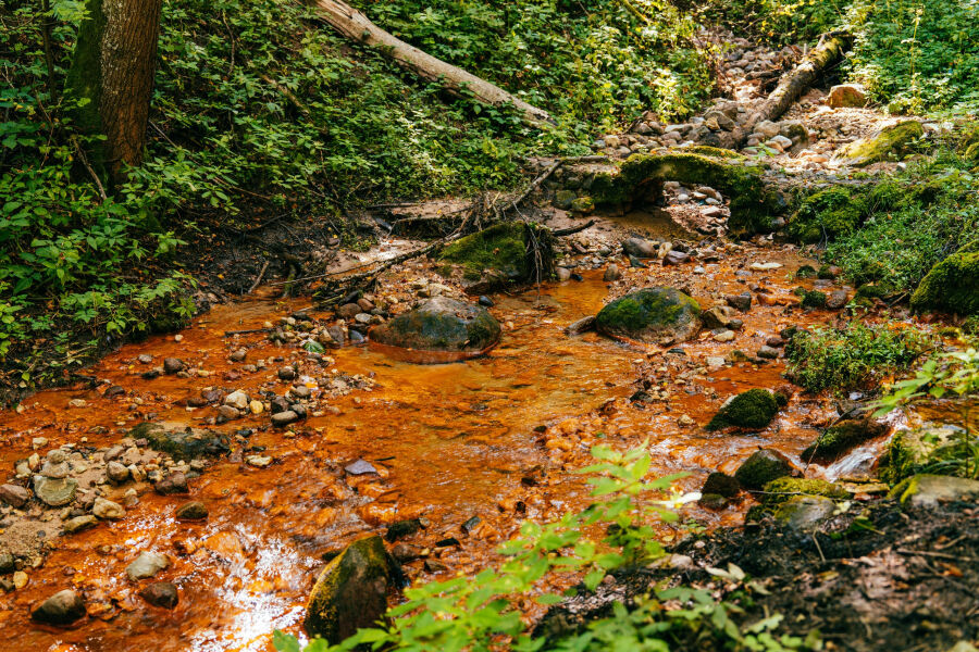 &Scaron;altupių &scaron;ventas &scaron;altinis
