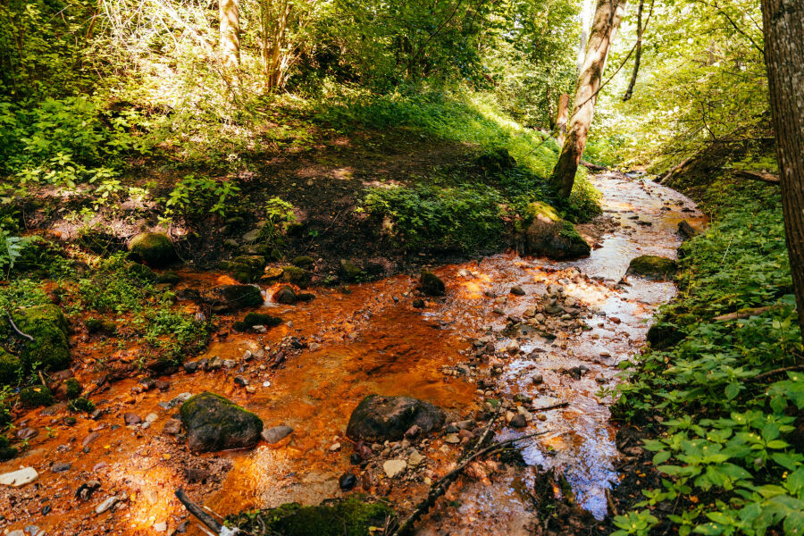&Scaron;altupių &scaron;ventas &scaron;altinis