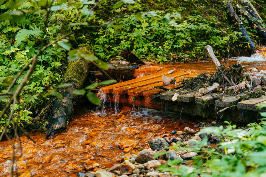 &Scaron;altupių &scaron;ventas &scaron;altinis