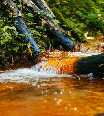 Saltupe Sacred spring