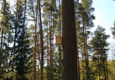 Dignāja 