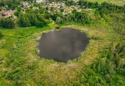 Viesytė