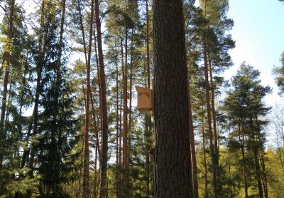 Dignāja