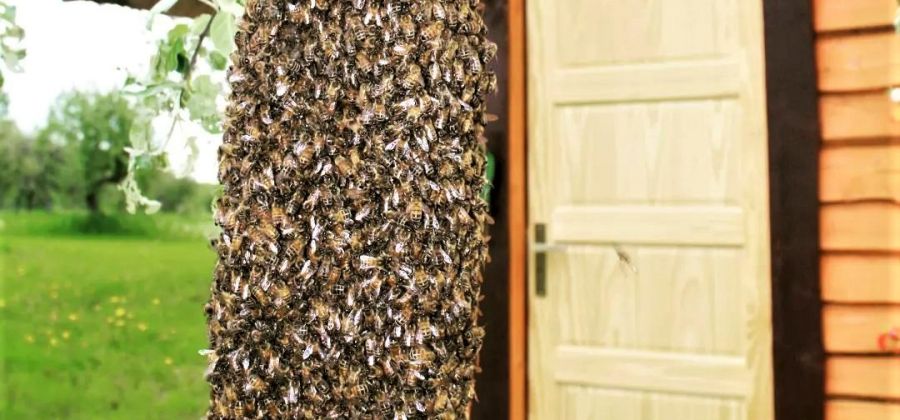 Jaunums Jēkabpils novadā - stropa terapija viesu mājā 